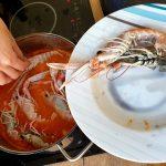 BRODETTO DI PESCE 11