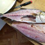 BRODETTO DI PESCE 2